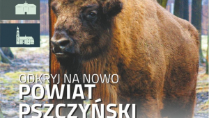 Odkryj na nowo powiat pszczyński - mapa turystyczna